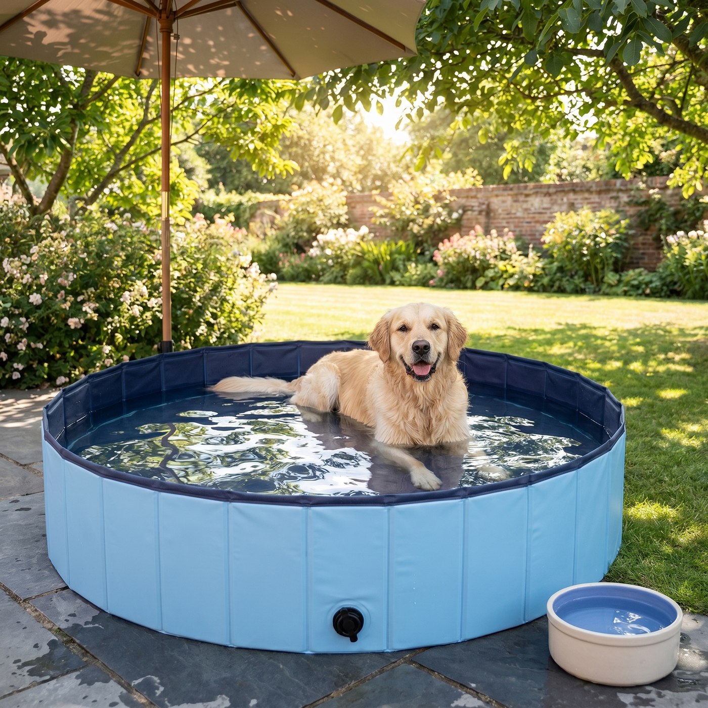 Heat builds fast. Dogs feel it first.