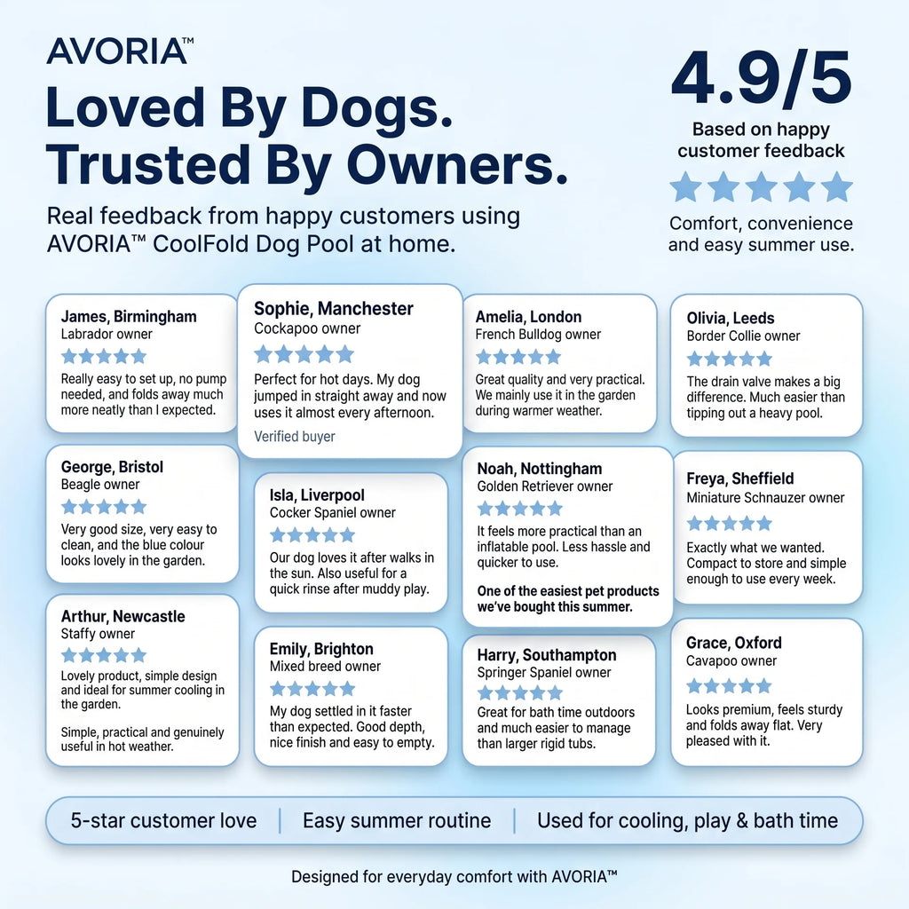 AVORIA™ CoolFold Dog Pool